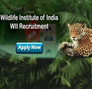Wildlife Institute of India Recruitment