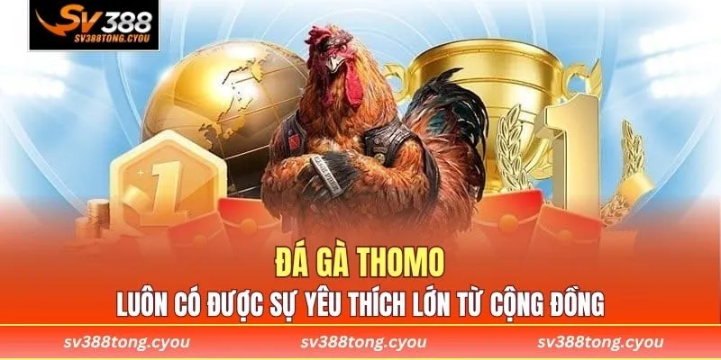 Đá Gà Thomo SV388 Đỉnh Cao - Trải Nghiệm Cá Cược Đẳng Cấp