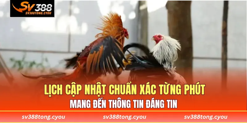 Lịch cập nhật chuẩn xác từng phút, mang đến thông tin đáng tin
