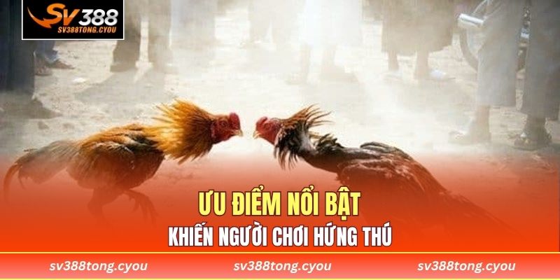 Ưu điểm nổi bật khiến người chơi hứng thú